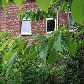 Le jardin intérieur