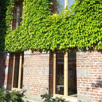 Les nouvelles fenetres